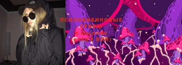 марки nbome Каменка