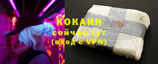 молекула духа Каменск-Шахтинский