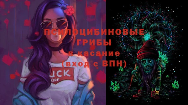 дурь Каменногорск