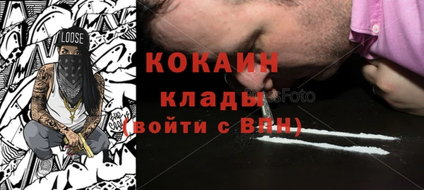 молекула духа Каменск-Шахтинский