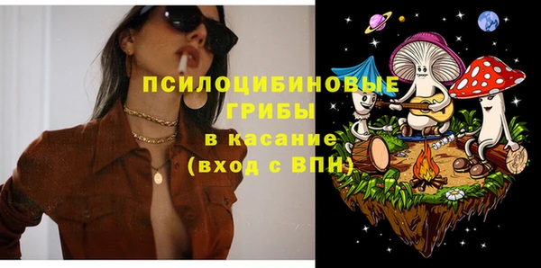 дурь Каменногорск