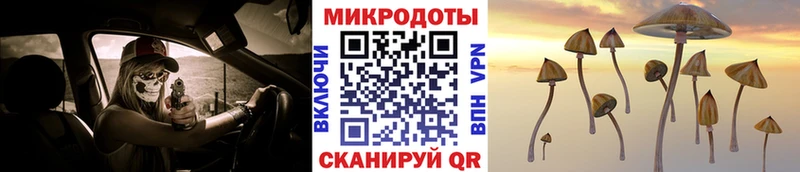 Купить  Лабинск  Псилоцибиновые грибы прущие грибы 